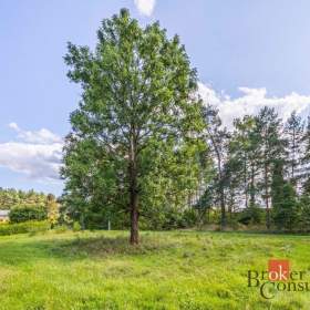 Foto inzerátu Prodej stavebního pozemku 896 m², Ralsko