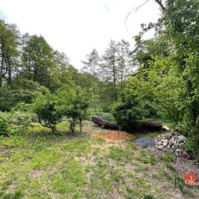 Foto inzerátu Prodej specifického pozemku 24 584 m², Chomutov
