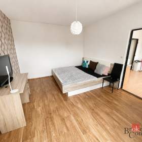 Prodej bytu 1+1 35 m², Chomutov / 19945156