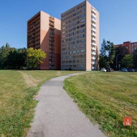 Prodej bytu 1+1 26 m², Ostrava / 19948179