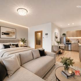 Prodej bytu 1+kk 40 m², Brno / 19950186