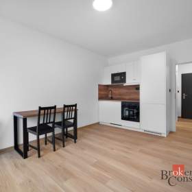 Prodej bytu 1+kk 24 m², Brno / 19950724