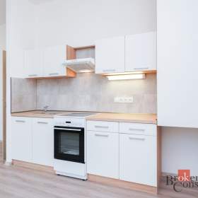Pronájem bytu 2+kk 52 m², Mlékojedy / 19952825