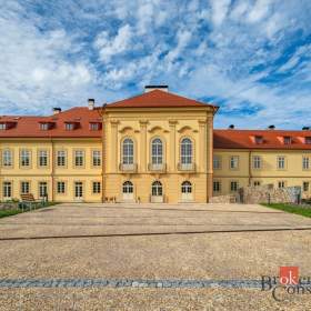 Pronájem bytu 1+kk 48 m², Jince / 19952856