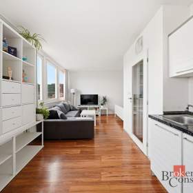 Prodej bytu 1+kk 30 m², Praha / 19954501
