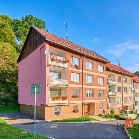 Prodej bytu 2+1 60 m², Jáchymov / 19955006