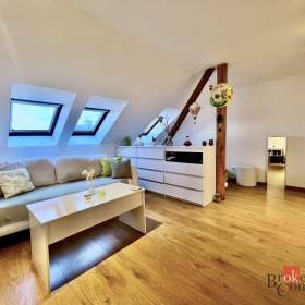 Pronájem bytu 1+1 40 m², Opava / 19956480
