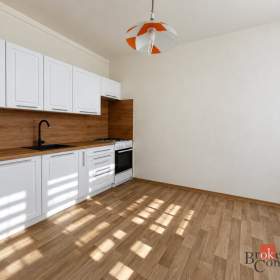Pronájem bytu 2+kk 41 m², Opava / 19959067