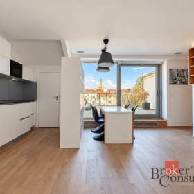 Pronájem bytu 1+kk 46 m², Praha / 19960299
