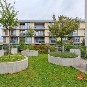 Pronájem bytu 2+kk 48 m², Praha / 19962430