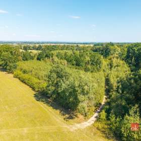 Foto inzerátu Prodej lesa 37 347 m², Pardubice