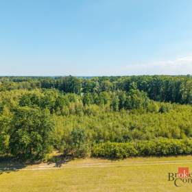 Foto inzerátu Prodej lesa 37 347 m², Pardubice
