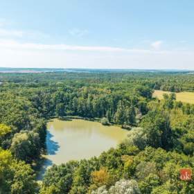 Foto inzerátu Prodej lesa 37 347 m², Pardubice