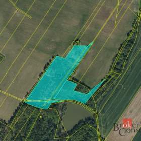 Foto inzerátu Prodej lesa 37 347 m², Pardubice