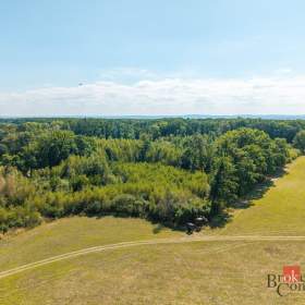 Foto inzerátu Prodej lesa 37 347 m², Pardubice