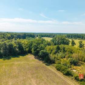 Foto inzerátu Prodej lesa 37 347 m², Pardubice