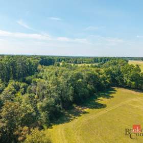 Foto inzerátu Prodej lesa 37 347 m², Pardubice