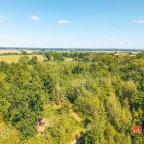 Foto inzerátu Prodej lesa 37 347 m², Pardubice