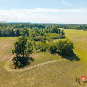 Foto inzerátu Prodej lesa 37 347 m², Pardubice
