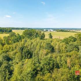 Foto inzerátu Prodej lesa 37 347 m², Pardubice