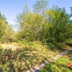Foto inzerátu Prodej lesa 37 347 m², Pardubice