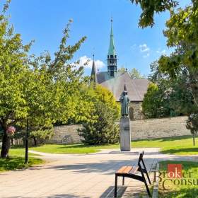Foto inzerátu Prodej bytu 3+1 67 m², Louny
