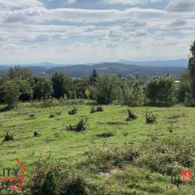 Foto inzerátu Prodej stavebního pozemku 4 351 m², Svojkov