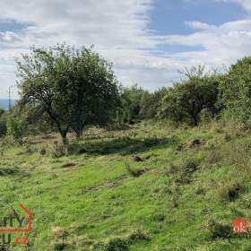 Foto inzerátu Prodej stavebního pozemku 4 351 m², Svojkov