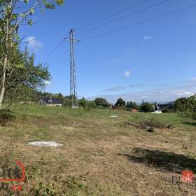 Foto inzerátu Prodej stavebního pozemku 4 351 m², Svojkov