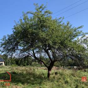Foto inzerátu Prodej stavebního pozemku 4 351 m², Svojkov