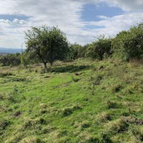 Foto inzerátu Prodej stavebního pozemku 4 351 m², Svojkov