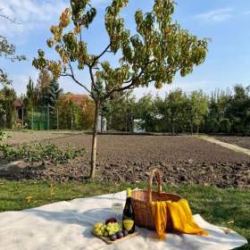 Foto inzerátu Prodej zahrady 401 m², Podivín