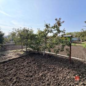 Foto inzerátu Prodej zahrady 401 m², Podivín