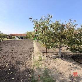 Prodej zahrady 401 m², Podivín / 19964187