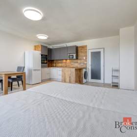 Foto inzerátu Pronájem bytu 1+kk 36 m², Plzeň