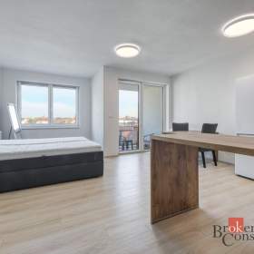 Foto inzerátu Pronájem bytu 1+kk 36 m², Plzeň