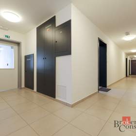 Foto inzerátu Pronájem bytu 1+kk 36 m², Plzeň