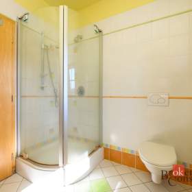 Foto inzerátu Prodej rodinného domu 240 m², Olšany
