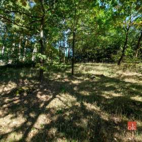 Foto inzerátu Prodej rodinného domu 240 m², Olšany