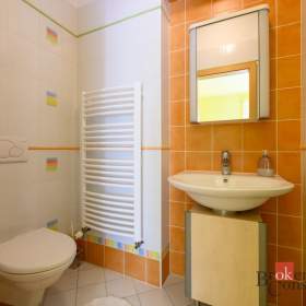 Foto inzerátu Prodej rodinného domu 240 m², Olšany