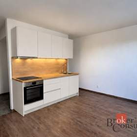 Prodej bytu 1+kk 36 m², Plzeň / 19966741