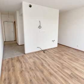 Foto inzerátu Prodej bytu 1+1 36 m², Plzeň