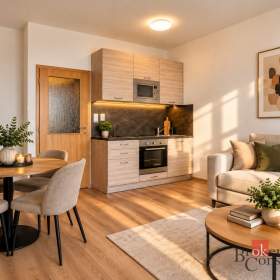 Prodej bytu 1+kk 33 m², Brno / 19967189