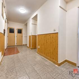 Prodej bytu 2+1 59 m², Ostrava / 19967899