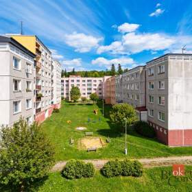 Foto inzerátu Prodej bytu 4+1 96 m², Planá