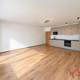 Foto inzerátu Pronájem bytu 2+kk 56 m², Plzeň