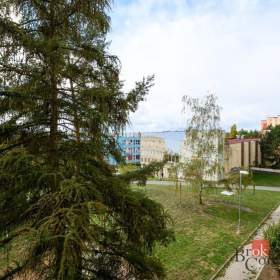 Foto inzerátu Pronájem bytu 2+1 60 m², Plzeň