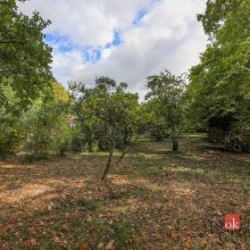 Foto inzerátu Prodej rodinného domu 188 m², Neurazy