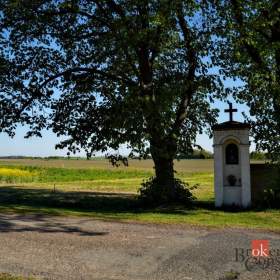 Foto inzerátu Prodej stavebního pozemku 1 188 m², Všejany