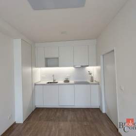 Pronájem bytu 1+kk 33 m², Ostrava / 19970561